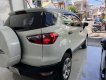 Ford EcoSport 2019 - Xe lướt