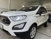 Ford EcoSport 2019 - Xe lướt