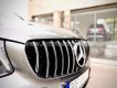 Mercedes-Benz GLC 300 2017 - Xe màu xám số tự động