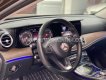 Mercedes-Benz E200 2017 - Xe màu nâu