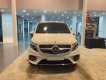 Mercedes-Benz V250 2023 - Tặng gói bảo hiểm vật chất - Quà tặng chính hãng Mer - Bảo hành 03 năm