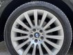 BMW 730Li 2010 - Xe đẹp cần người chịu chơi