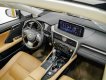 Lexus RX 300 2022 - Xe đẹp, bao check hãng toàn quốc