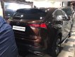 Lexus NX 300 2020 - Xe gia đình ít sử dụng còn thơm mùi xe mới