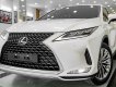 Lexus RX 300 2022 - Xe đẹp, bao check hãng toàn quốc