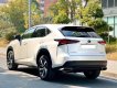 Lexus NX 300 2019 - Xe mới 95%, giá chỉ 1 tỷ 950tr