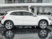 Mercedes-Benz GLA 200 2017 - Hỗ trợ trọn đời từ bảo dưỡng đến cứu hộ