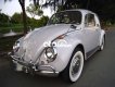 Volkswagen Beetle Xe con bọ cổ  1300 năm.1966 1980 - Xe con bọ cổ Volkswagen 1300 năm.1966