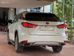 Lexus RX 300 2021 - Giá 3 tỷ 296tr, màu trắng