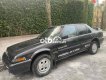 Honda Accord cần bán   1988 - cần bán honda accord