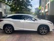 Lexus RX 300 Bán xe  300 màu trắng đời 2019 2019 - Bán xe rx 300 màu trắng đời 2019