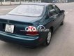 Honda Accord Honđa  xe phân khúc hạng sang 1994 - Honđa accord xe phân khúc hạng sang