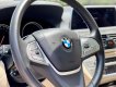 BMW 730Li 2018 - Xanh cavansite, nội thất kem