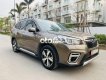 Subaru Forester SABARU  S EYESIGHT 219 ĐỈNHCAO VỀ CÔNGNGHỆ 2019 - SABARU FORESTER S EYESIGHT 219 ĐỈNHCAO VỀ CÔNGNGHỆ