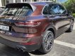 Porsche Cayenne 2019 - Xe gia đình