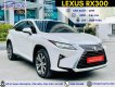 Lexus RX 300 2019 - Biển tỉnh