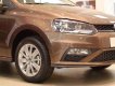 Volkswagen Polo 2023 - màu nâu hổ phách xe nhập Đức giá rẻ cứng chắc an toàn - Có xe giao ngay