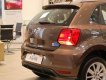 Volkswagen Polo 2023 - màu nâu hổ phách xe nhập Đức giá rẻ cứng chắc an toàn - Có xe giao ngay