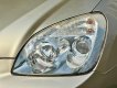 Kia Carens 2010 - Xe còn rất đẹp và mới