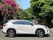 Lexus NX 300 2019 - Cực đẹp màu trắng