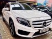 Mercedes-Benz GLA 250 2017 - Chính chủ bán