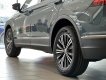 Volkswagen Tiguan 2023 - Màu xanh petro xanh độc lạ của Volkswagen - Mua xe miễn lãi 0% lãi suất