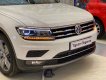 Volkswagen Tiguan 2023 - Giảm giá tháng 5 cực sốc giảm 300 triệu tiền mặt giá xe chỉ còn 1.399tr