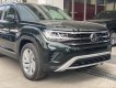 Volkswagen Teramont 2023 - Màu xanh rêu cho khách hàng hợp mệnh Mộc - Bạn đang phân vân màu sắc ở đây có đủ màu cho khách hàng xem thực tế