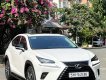 Lexus NX 300 2020 - Nước sơn zin 100% xe gia đình sử dụng ít