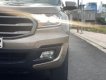 Ford Everest 2019 - Xe gia đình sử dụng Cần bán xe Ford Everest cuối 2019 , nhập khẩu Thái Lan, máy dầu, siêu tiết kiệm