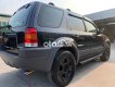 Ford Escape   số tự đông 2 cầu đẹp xuất sắc 2002 - Ford Escape số tự đông 2 cầu đẹp xuất sắc