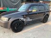 Ford Escape   số tự đông 2 cầu đẹp xuất sắc 2002 - Ford Escape số tự đông 2 cầu đẹp xuất sắc