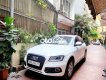 Audi Q5 Chính chủ cần bán   2016 - Chính chủ cần bán Audi Q5