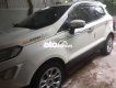 Ford EcoSport   1.5L AT titanium 2019 màu trắng. 2019 - Ford EcoSport 1.5L AT titanium 2019 màu trắng.