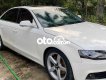 Audi A4   2009 2008 - audi A4 2009