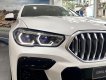 BMW X6 2023 - Ưu đãi tiền mặt tháng 3, quà tặng cùng phụ kiện full