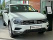 Volkswagen Tiguan 2021 - Ưu đãi chấn động - Giảm 250 triệu kèm nhiều ưu đãi đi kèm