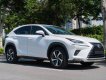 Lexus NX 300 2017 - Màu trắng, xe nhập số tự động