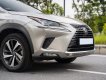 Lexus NX 300 2020 - Màu xám, nhập khẩu số tự động