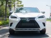 Lexus NX 300 2017 - Màu trắng, xe nhập số tự động