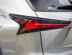 Lexus NX 300 2020 - Màu xám, nhập khẩu số tự động