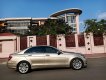 Mercedes-Benz C 250 2013 - Bán rẻ Eco Blue 2013 zin a-z tuyệt đẹp như mới