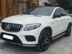 Mercedes-Benz GLE 43 2019 - Là dòng xe siêu hiếm tại thị trường Việt Nam