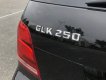 Mercedes-Benz GLK 250 2014 - Xe 1 chủ đi giữ gìn