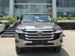 Toyota Land Cruiser LC300 2023 - Bán xe Toyota Land Cruiser LC300 năm 2023, màu nâu, xe nhập