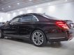 Mercedes-Benz S 450L 2019 - Bao đậu bank 70-90%