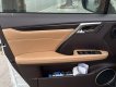 Lexus RX 300 2018 - Trung Sơn Auto bán xe siêu mới