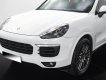 Porsche Cayenne 2017 - Cá nhân biển HN