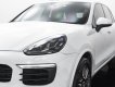 Porsche Cayenne 2017 - Cá nhân biển HN