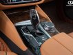 BMW 530i 2019 - Xe chạy 4v9 km